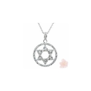 http://www.shoppersexpressway.com/108-152-thickbox/star-of-david-necklace.jpg